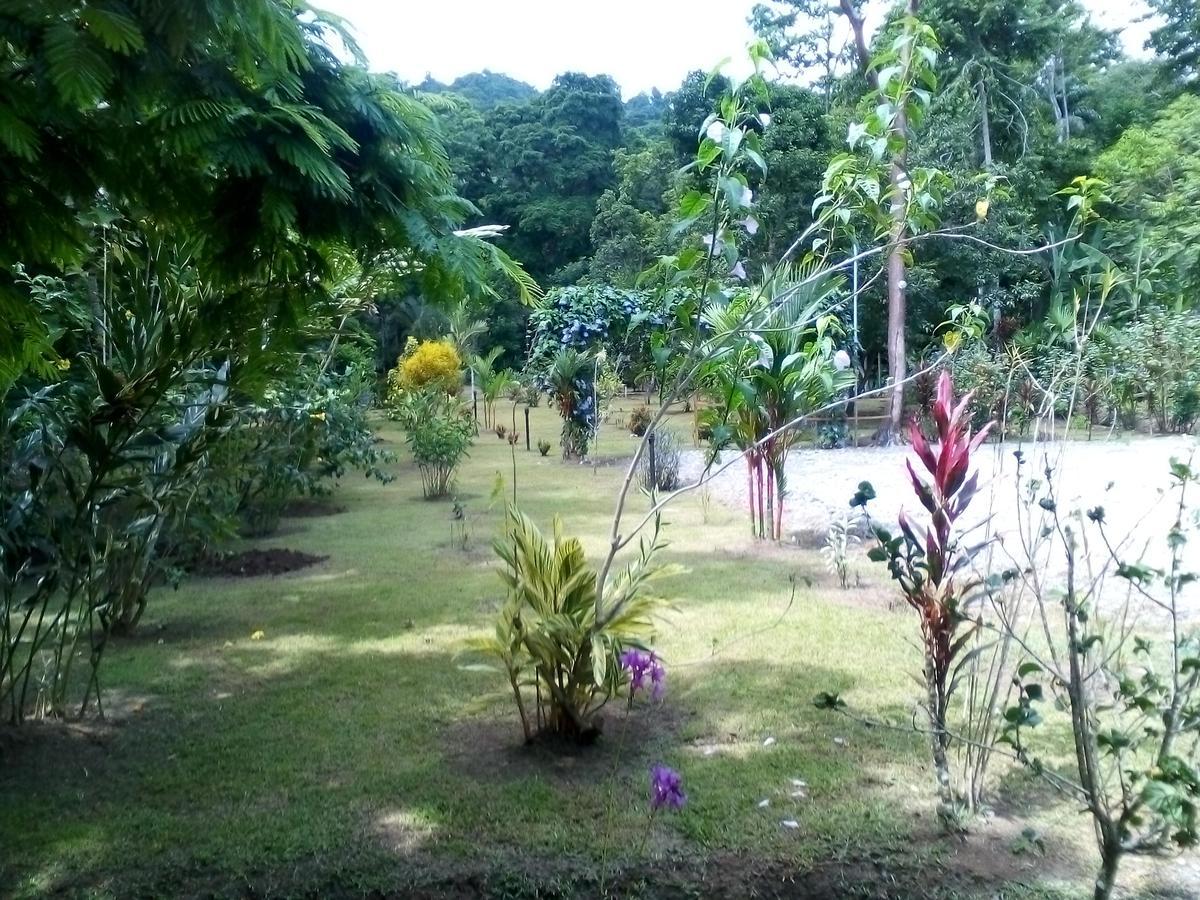 Puerto Vargas Lodge Cahuita Eksteriør billede